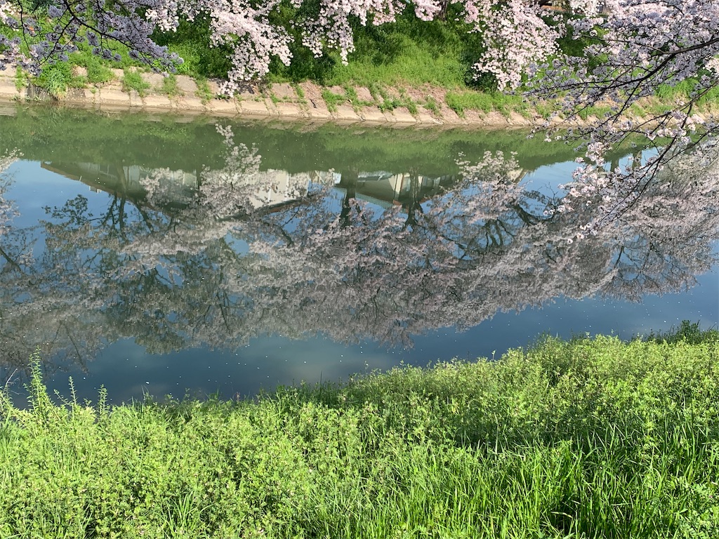 f:id:emi-sk:20200404121256j:image