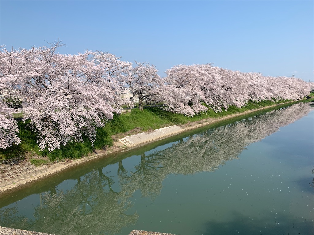 f:id:emi-sk:20200404133253j:image
