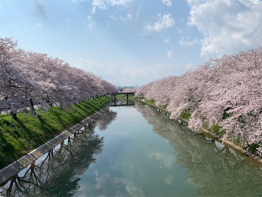 f:id:emi-sk:20200404133316j:image