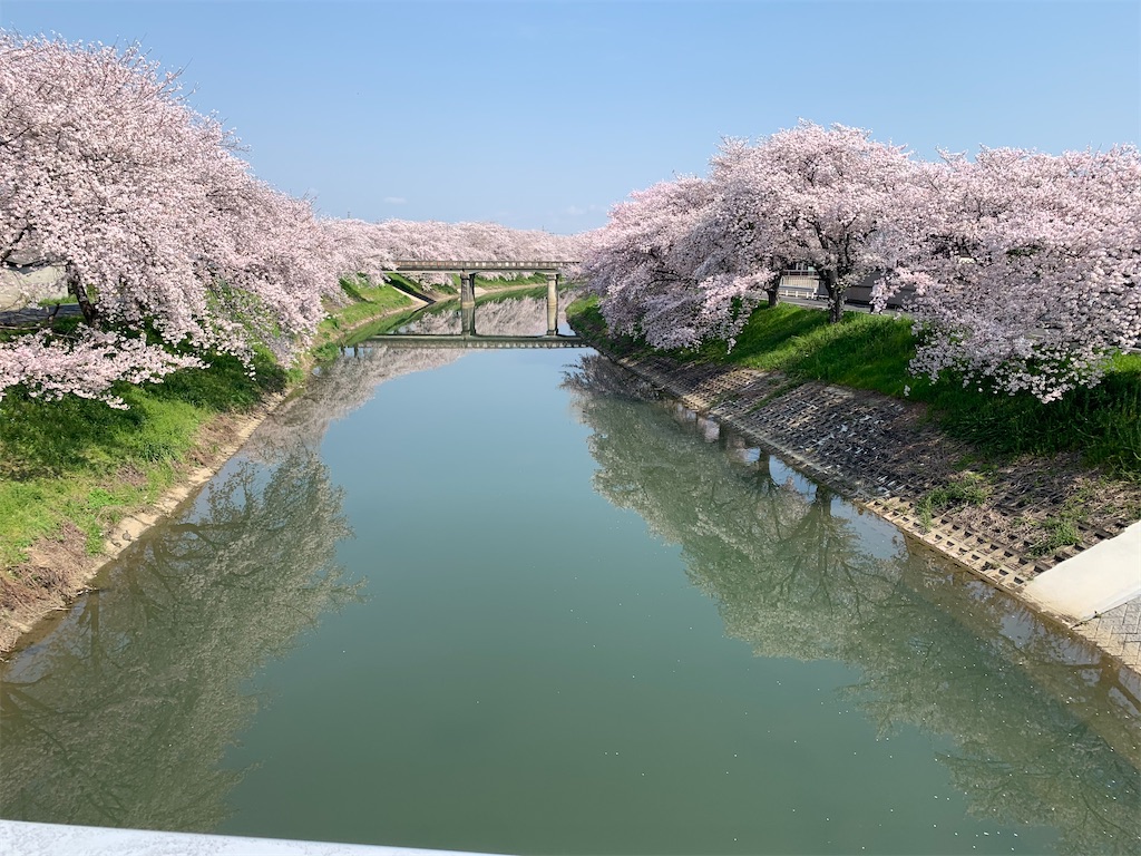 f:id:emi-sk:20200404133339j:image