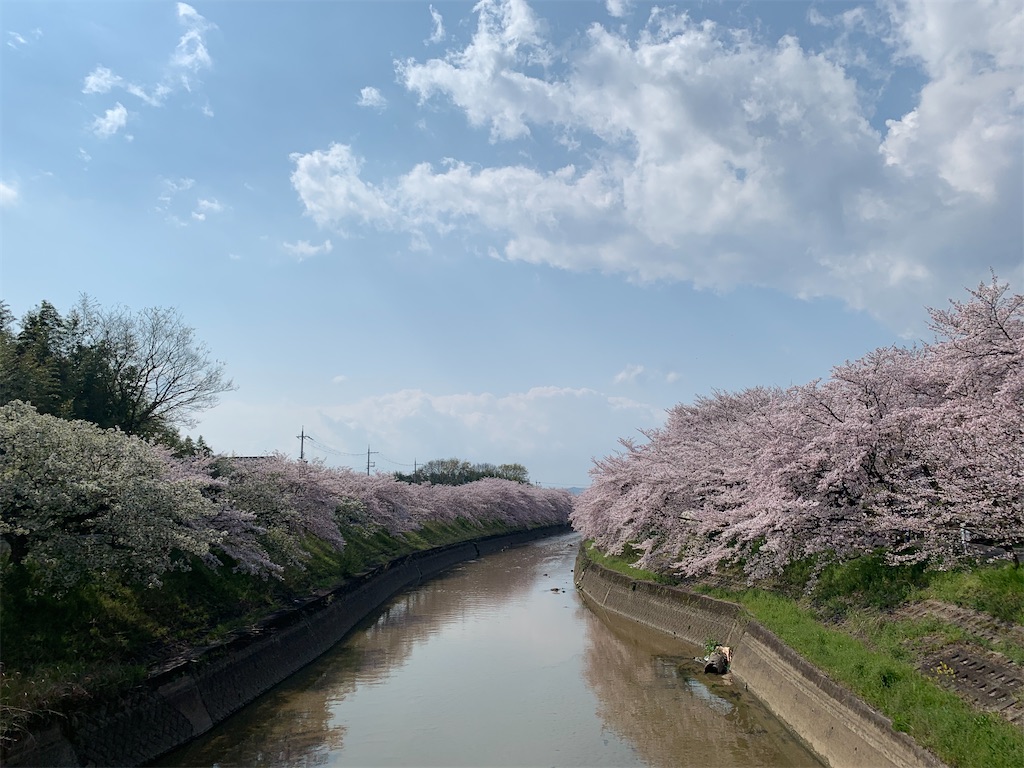 f:id:emi-sk:20200404133349j:image