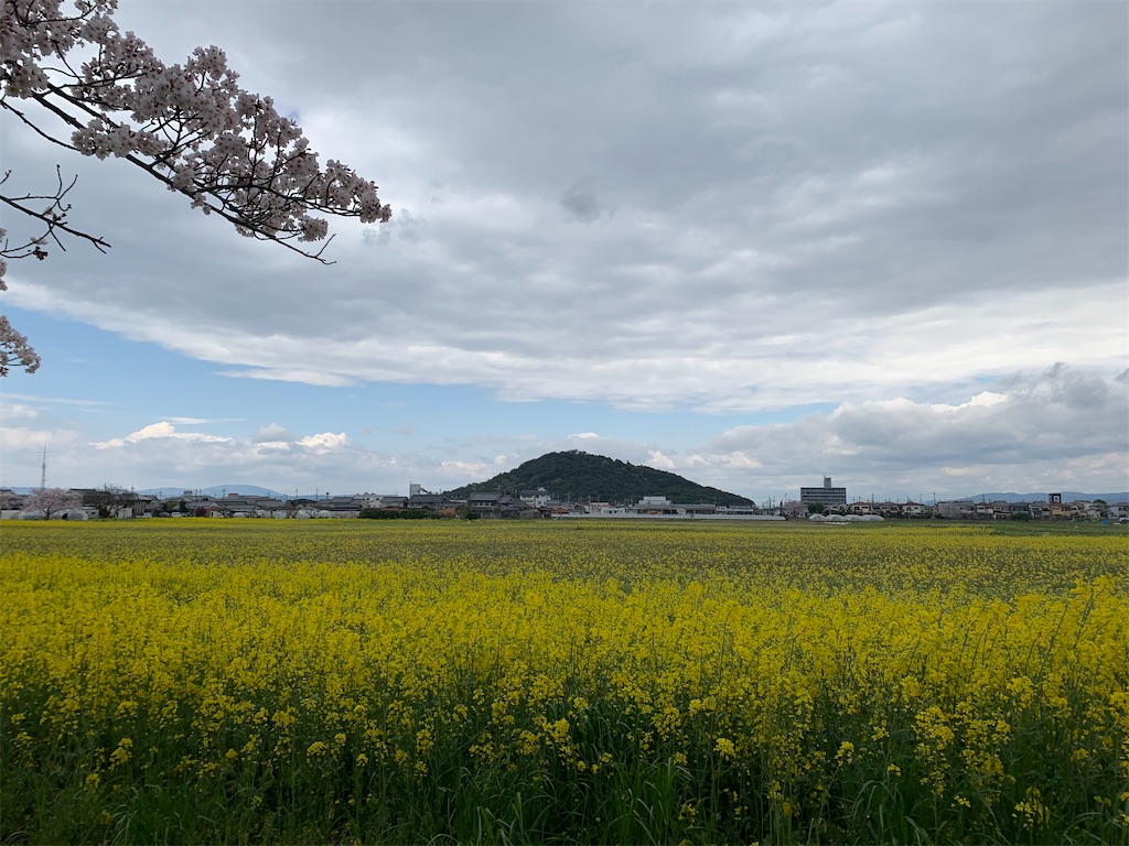 f:id:emi-sk:20200404224015j:image