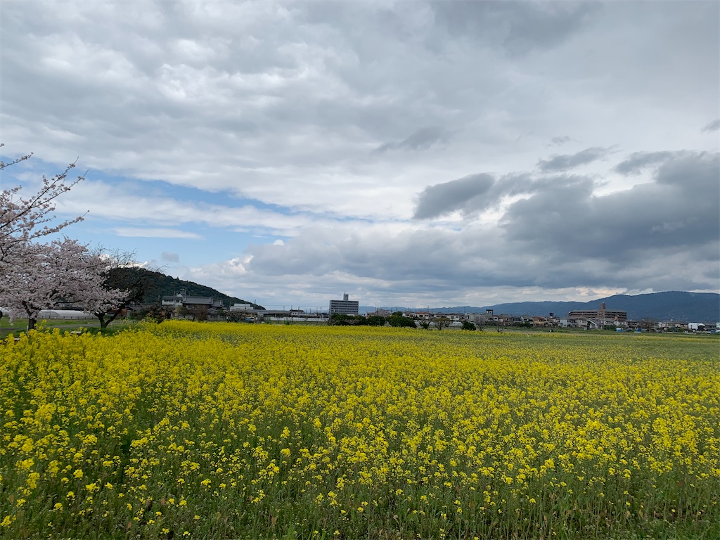 f:id:emi-sk:20200407071756j:image