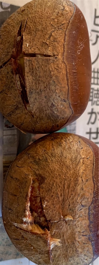 f:id:emi-sk:20201020214451j:image f:id:emi-sk:20201020214451j:image