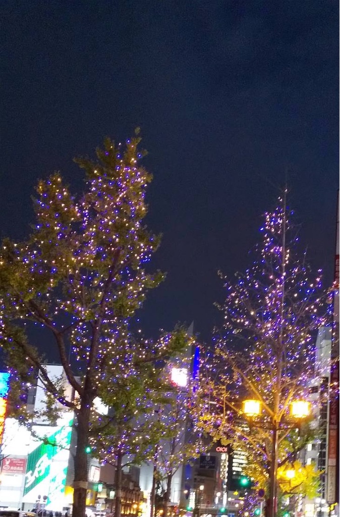 f:id:emi-sk:20201127170605j:image f:id:emi-sk:20201127170605j:image