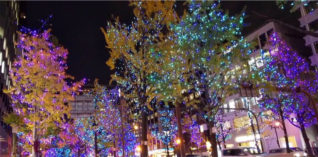 f:id:emi-sk:20201127170726j:image f:id:emi-sk:20201127170726j:image