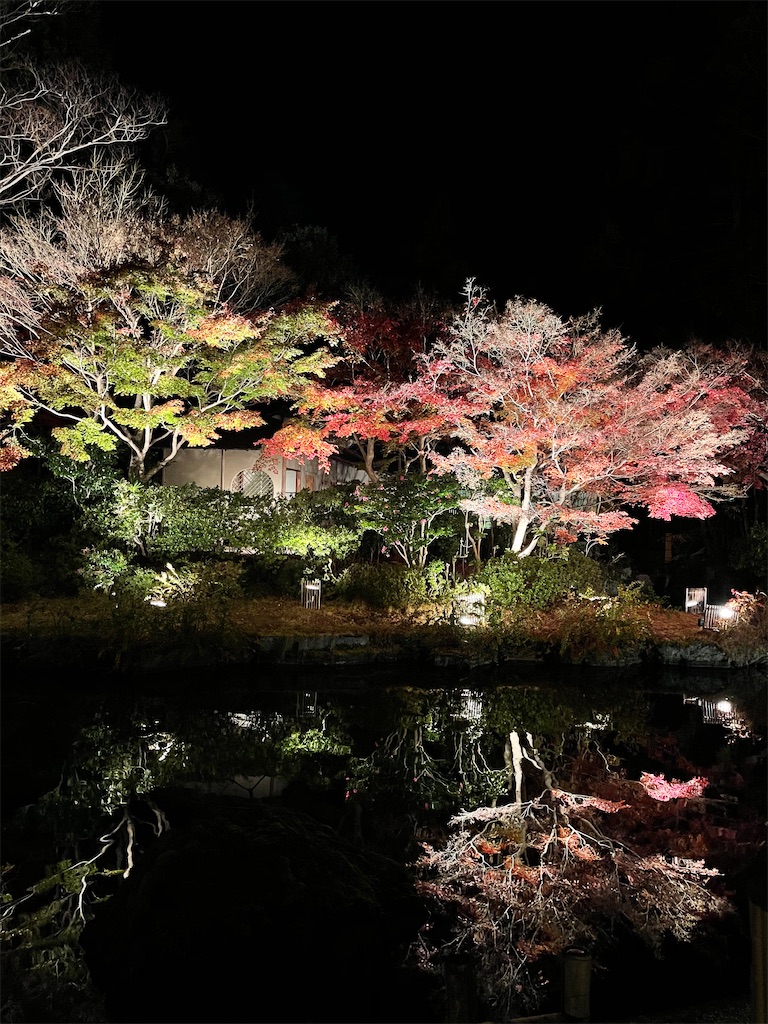 f:id:emi-sk:20201206064636j:image