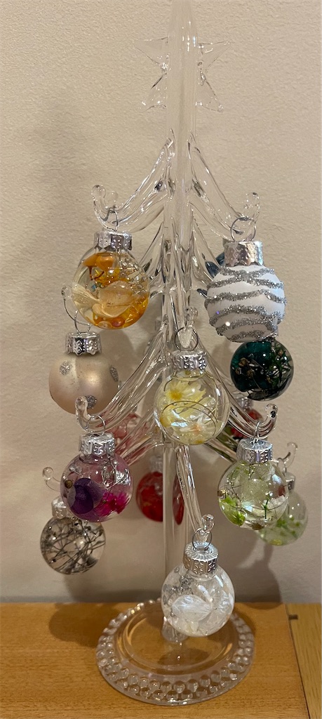 f:id:emi-sk:20201217185506j:image