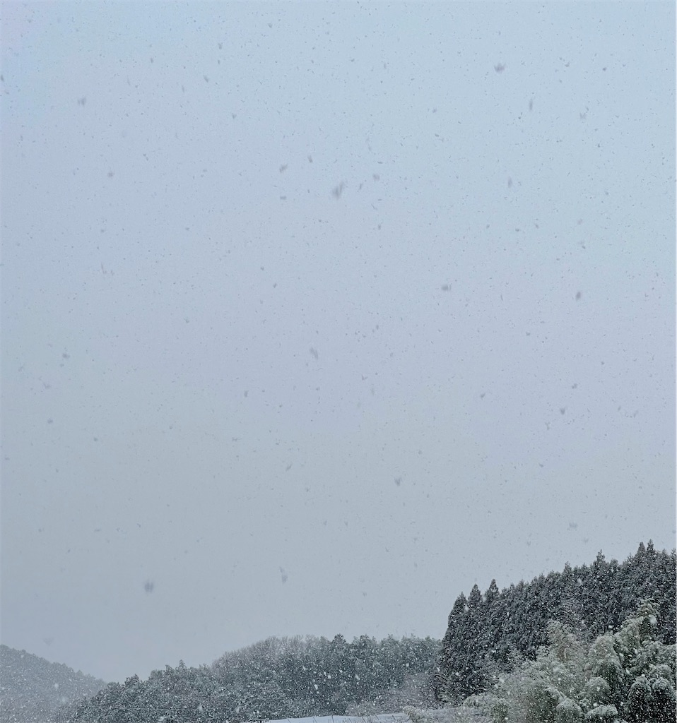 f:id:emi-sk:20210112074558j:image