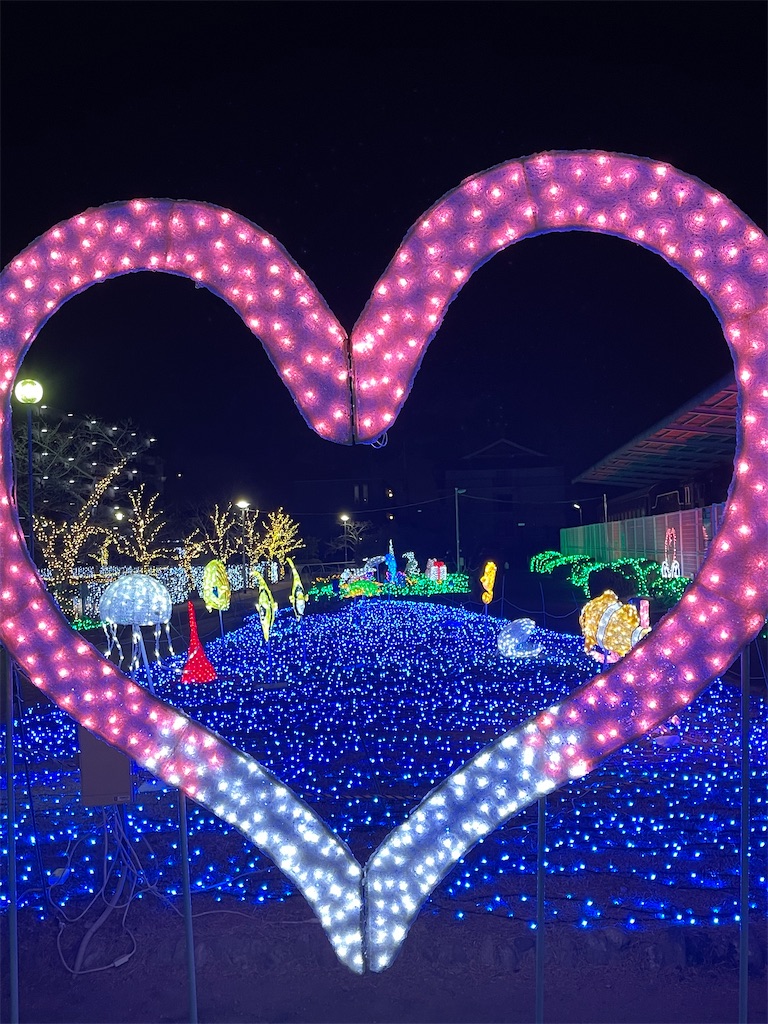 f:id:emi-sk:20210119180248j:image