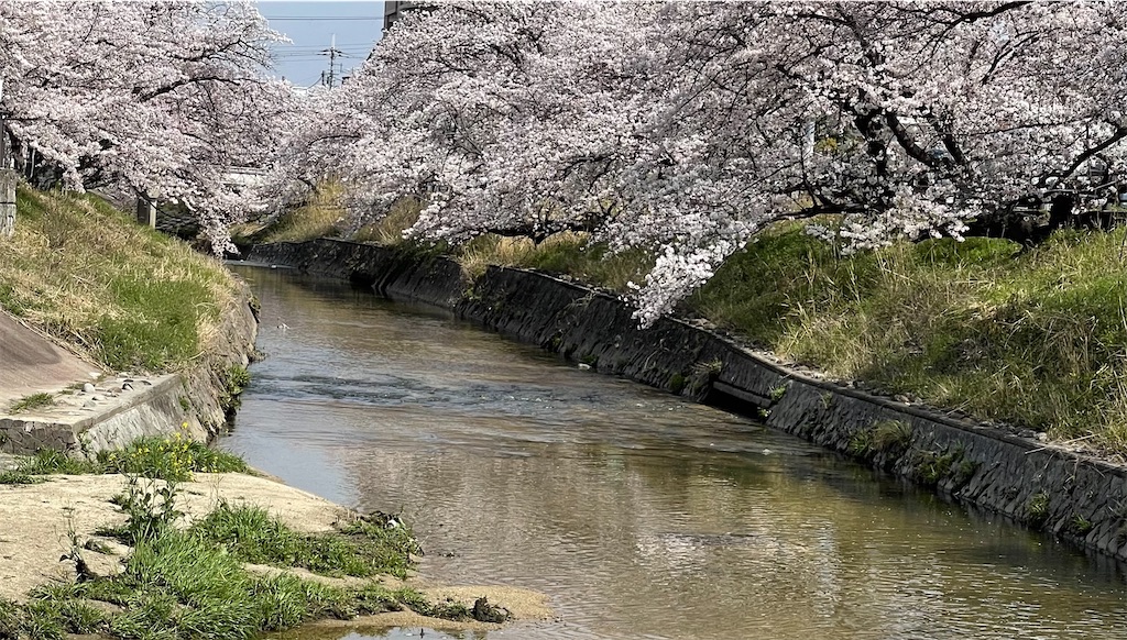 f:id:emi-sk:20210331151012j:image