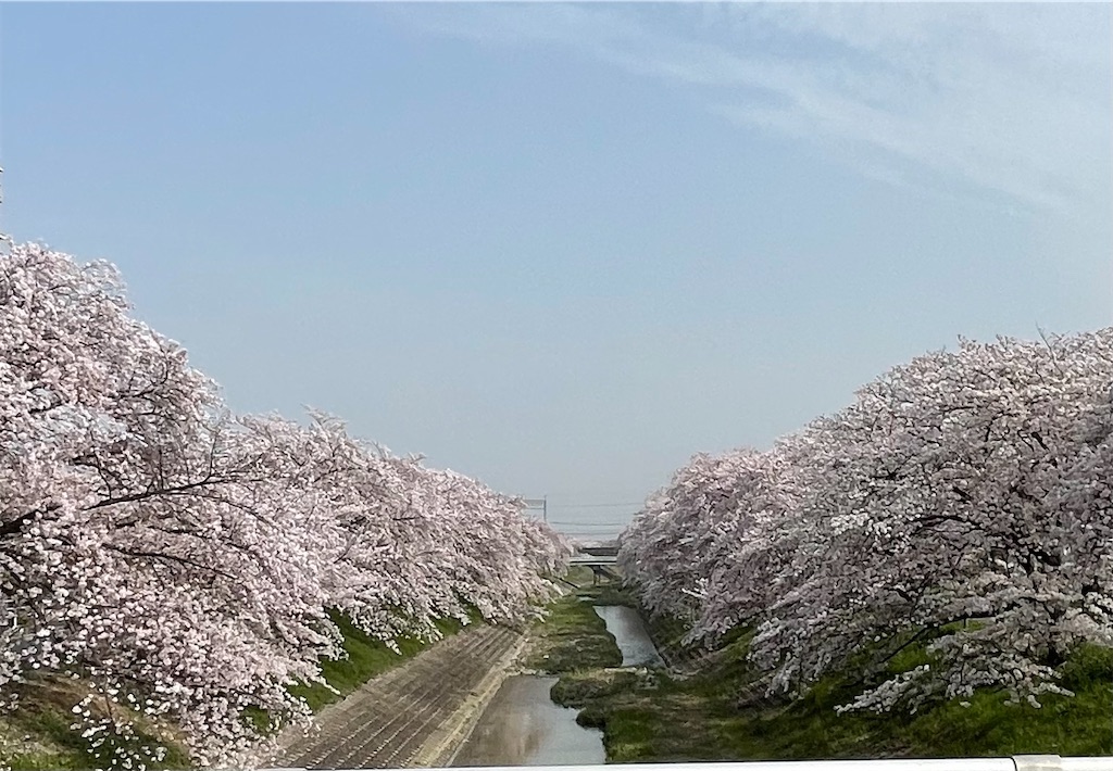 f:id:emi-sk:20210401200047j:image