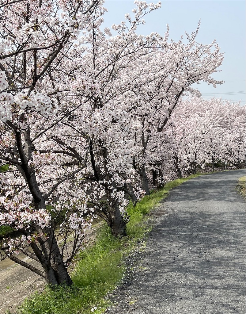 f:id:emi-sk:20210401213029j:image