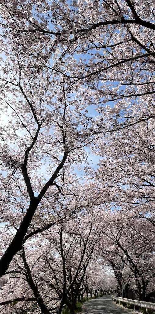 f:id:emi-sk:20210422201937j:image