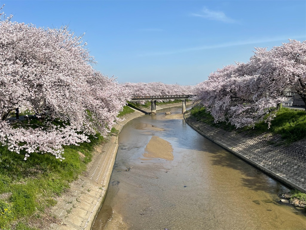 f:id:emi-sk:20210422213027j:image