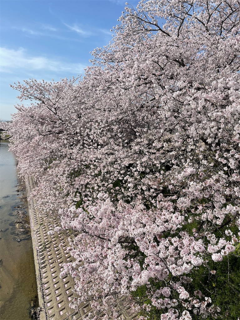f:id:emi-sk:20210423072941j:image