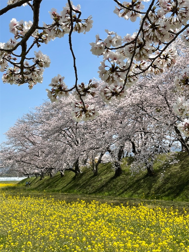 f:id:emi-sk:20210423142625j:image