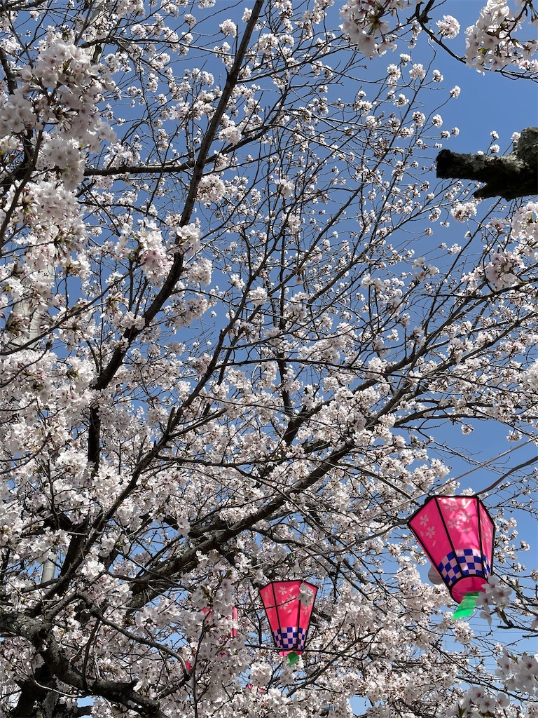 f:id:emi-sk:20210423220341j:image