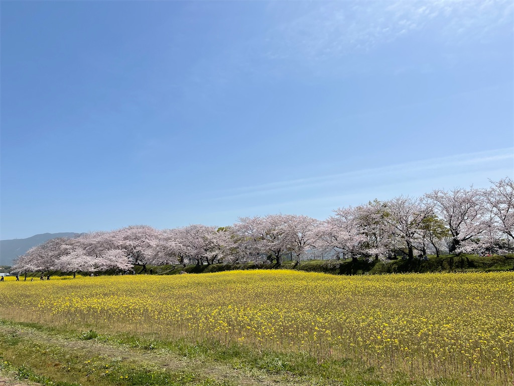 f:id:emi-sk:20210423220605j:image
