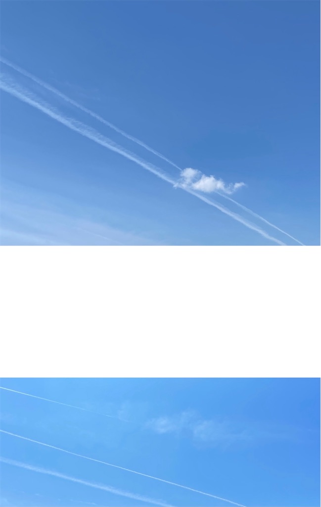 f:id:emi-sk:20210619114910j:image f:id:emi-sk:20210619114910j:image