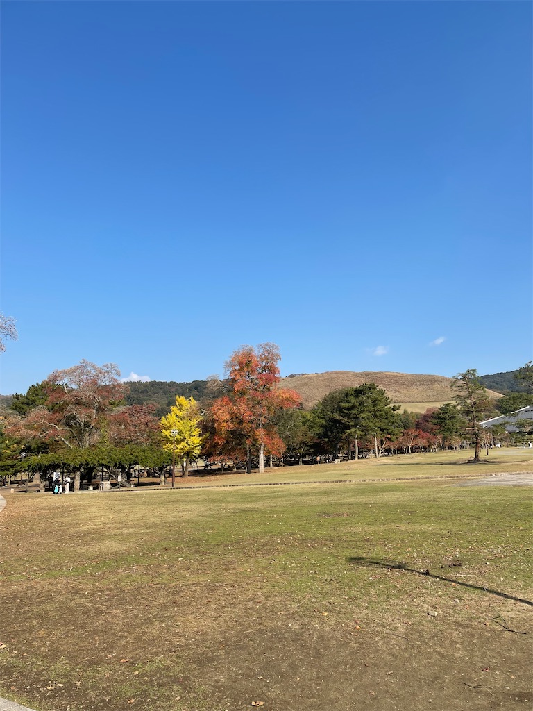 f:id:emi-sk:20211115195655j:image