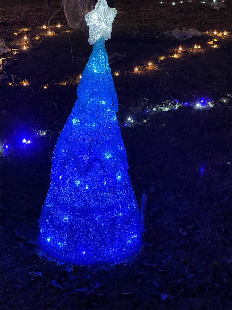 f:id:emi-sk:20211223215531j:image