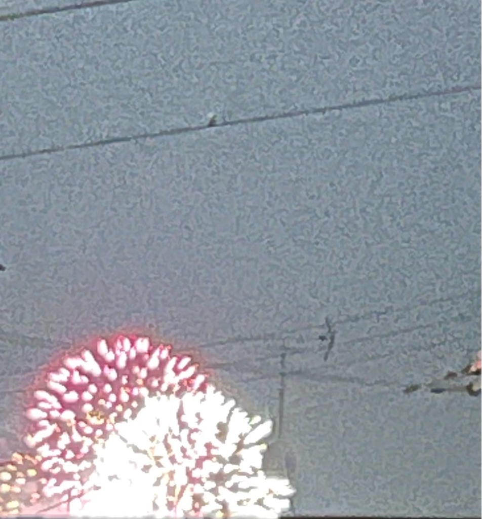 f:id:emi-sk:20220120071130j:image