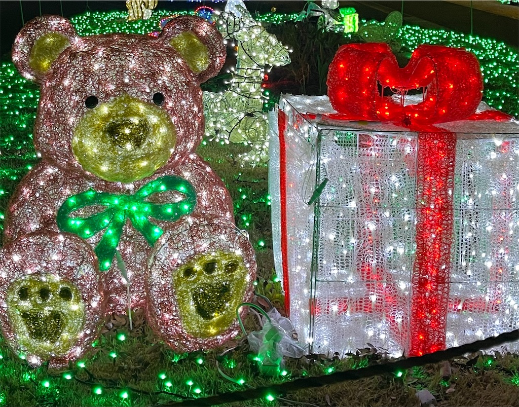 f:id:emi-sk:20220131221035j:image