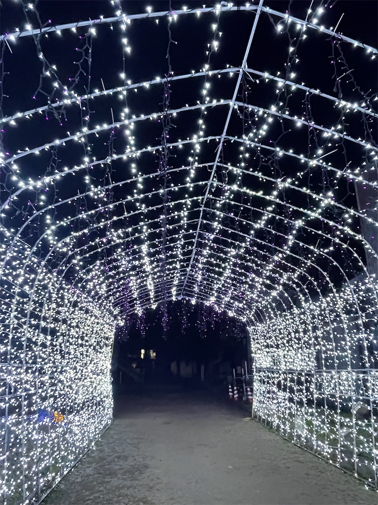f:id:emi-sk:20220131221151j:image