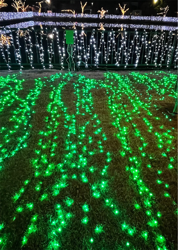 f:id:emi-sk:20220131221218j:image