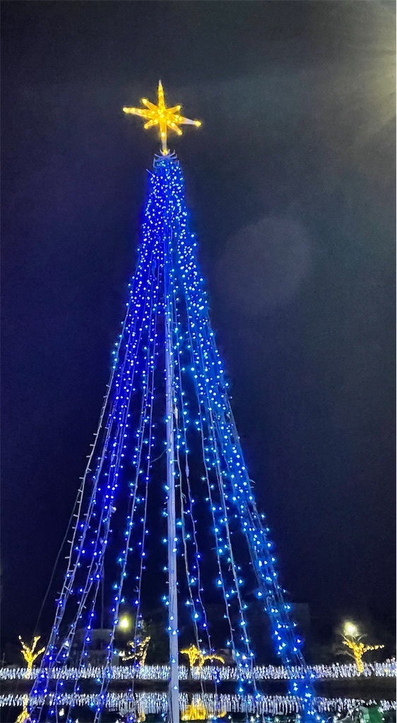 f:id:emi-sk:20220131221228j:image