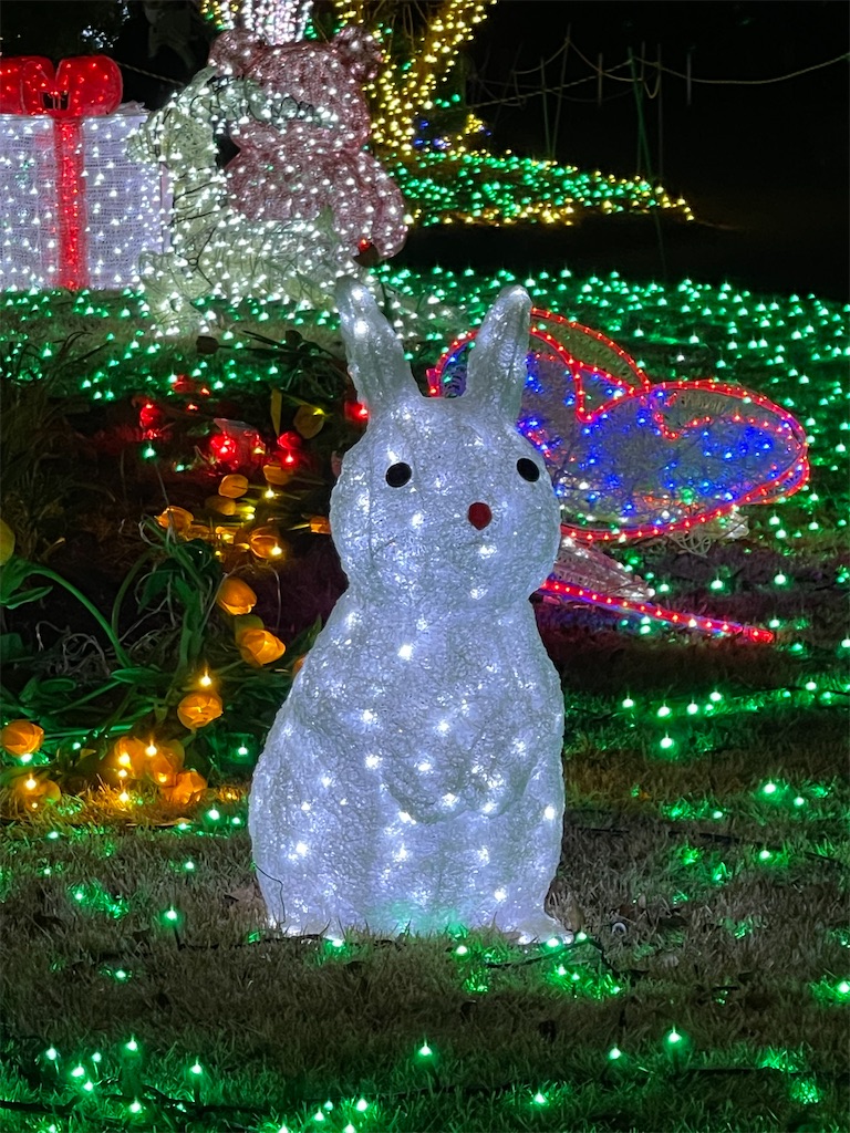 f:id:emi-sk:20220131221309j:image