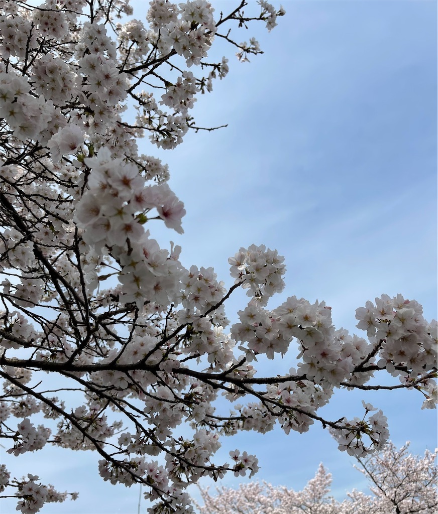f:id:emi-sk:20220401070323j:image
