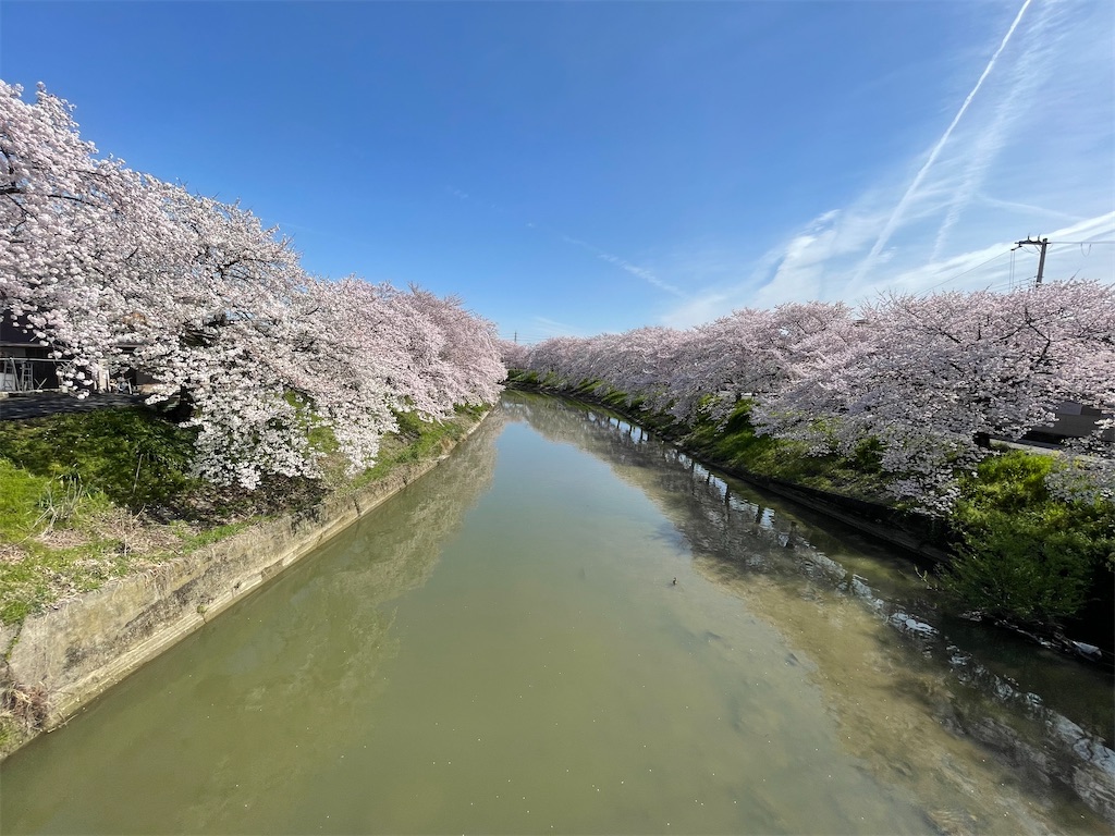 f:id:emi-sk:20220408064335j:image