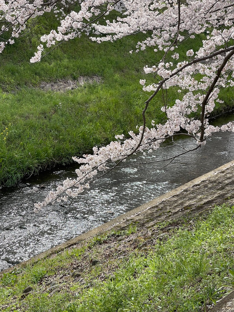 f:id:emi-sk:20220412065142j:image
