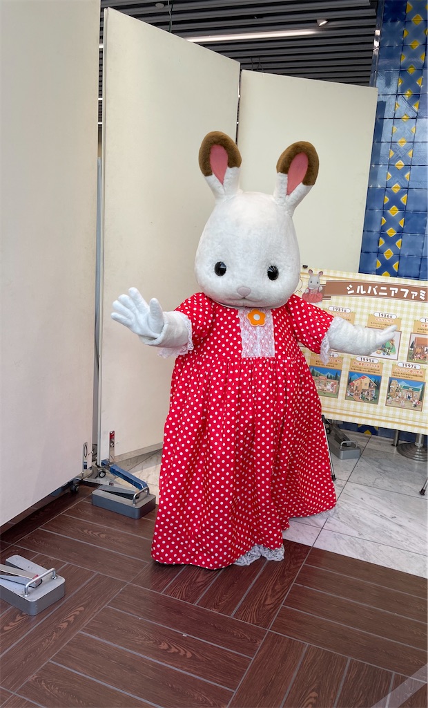 f:id:emi-sk:20220606213333j:image