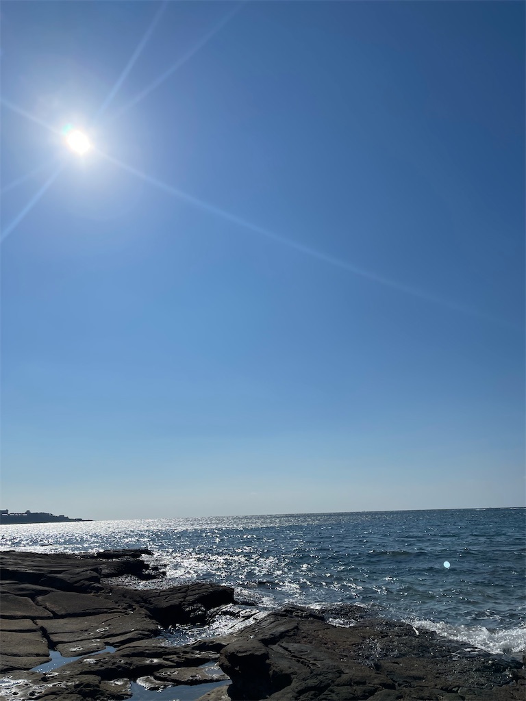 f:id:emi-sk:20221110154517j:image f:id:emi-sk:20221110154517j:image