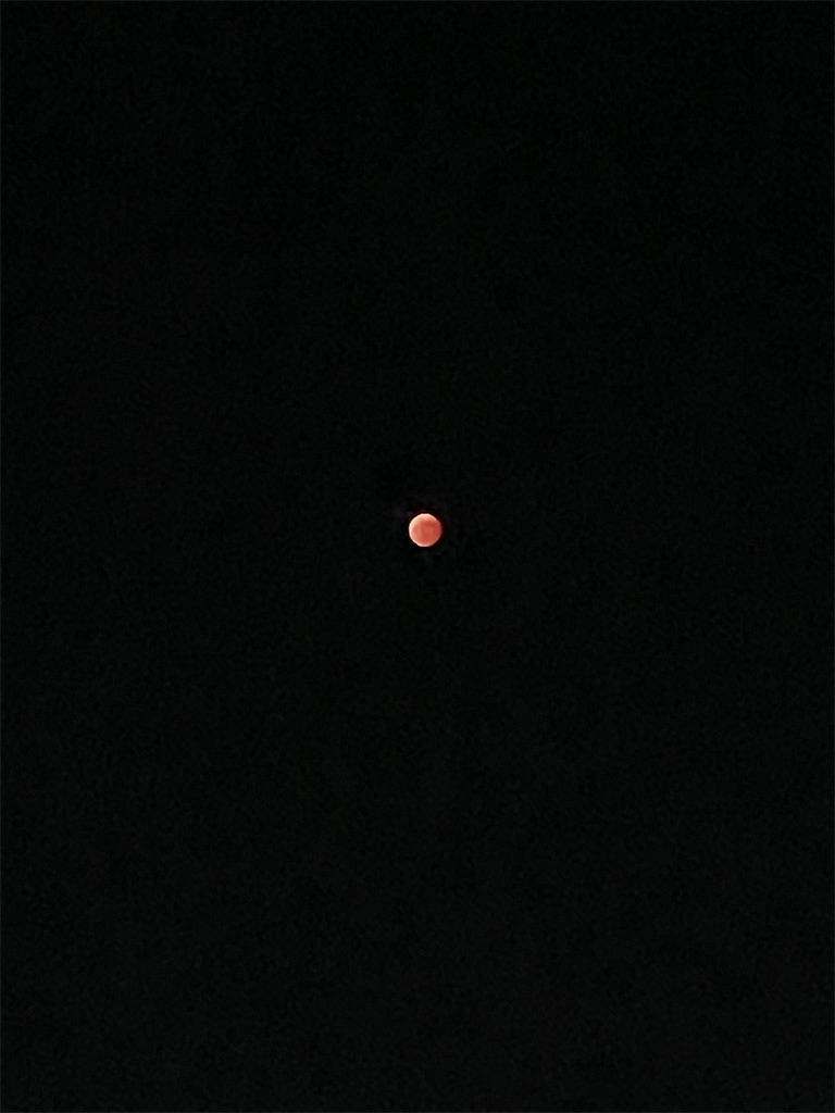 f:id:emi-sk:20221110155923j:image f:id:emi-sk:20221110155923j:image