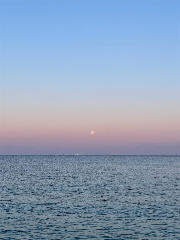 f:id:emi-sk:20221110160005j:image f:id:emi-sk:20221110160005j:image