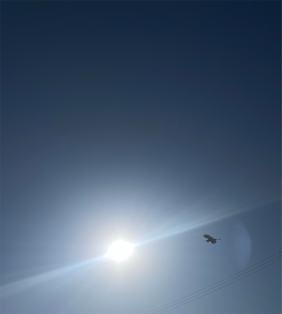 f:id:emi-sk:20221213124542j:image