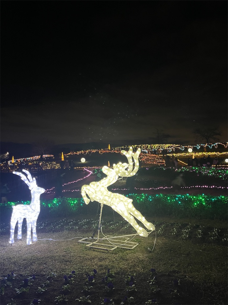 f:id:emi-sk:20221226192458j:image