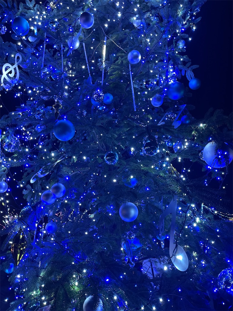 f:id:emi-sk:20221227073002j:image