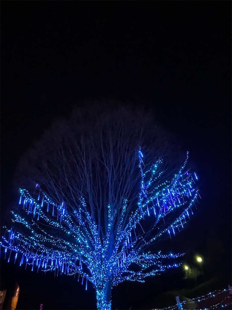 f:id:emi-sk:20230202070009j:image