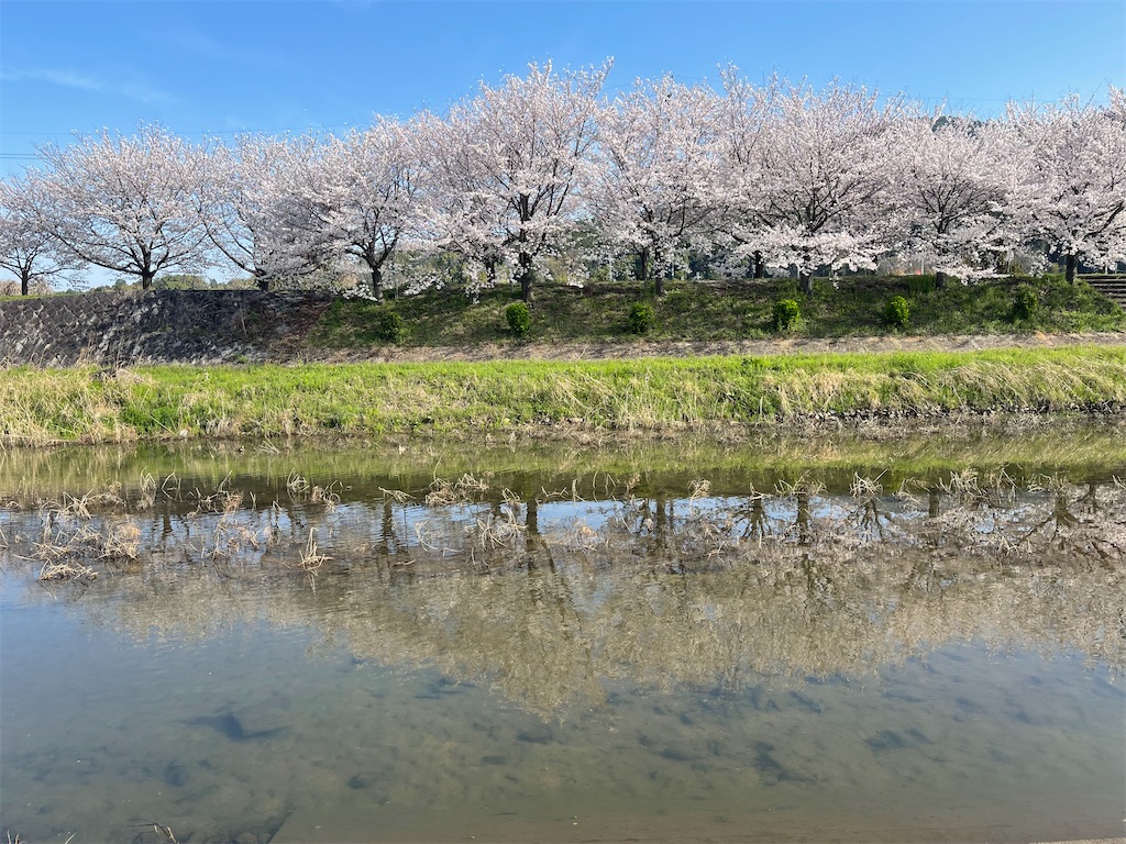 f:id:emi-sk:20230329110058j:image