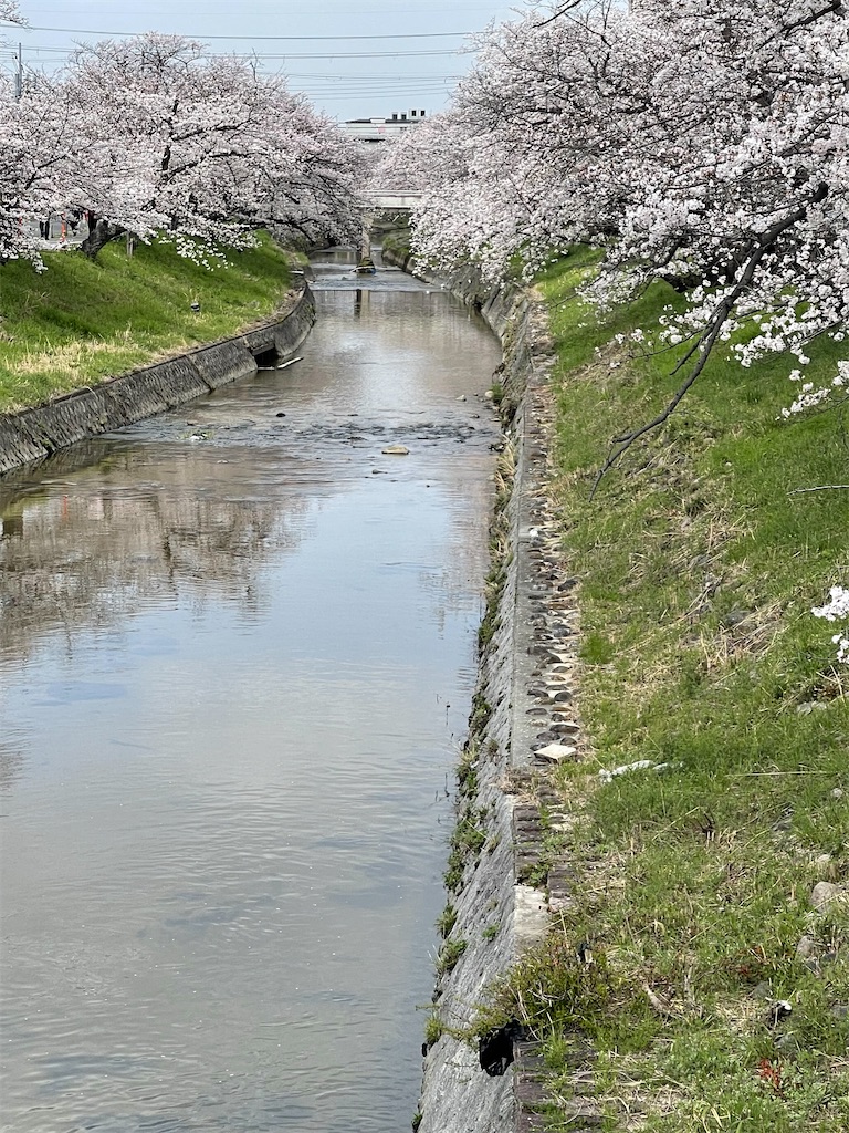 f:id:emi-sk:20230403192243j:image