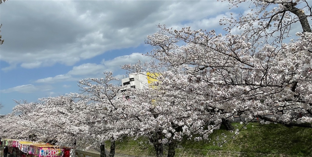 f:id:emi-sk:20230403192555j:image