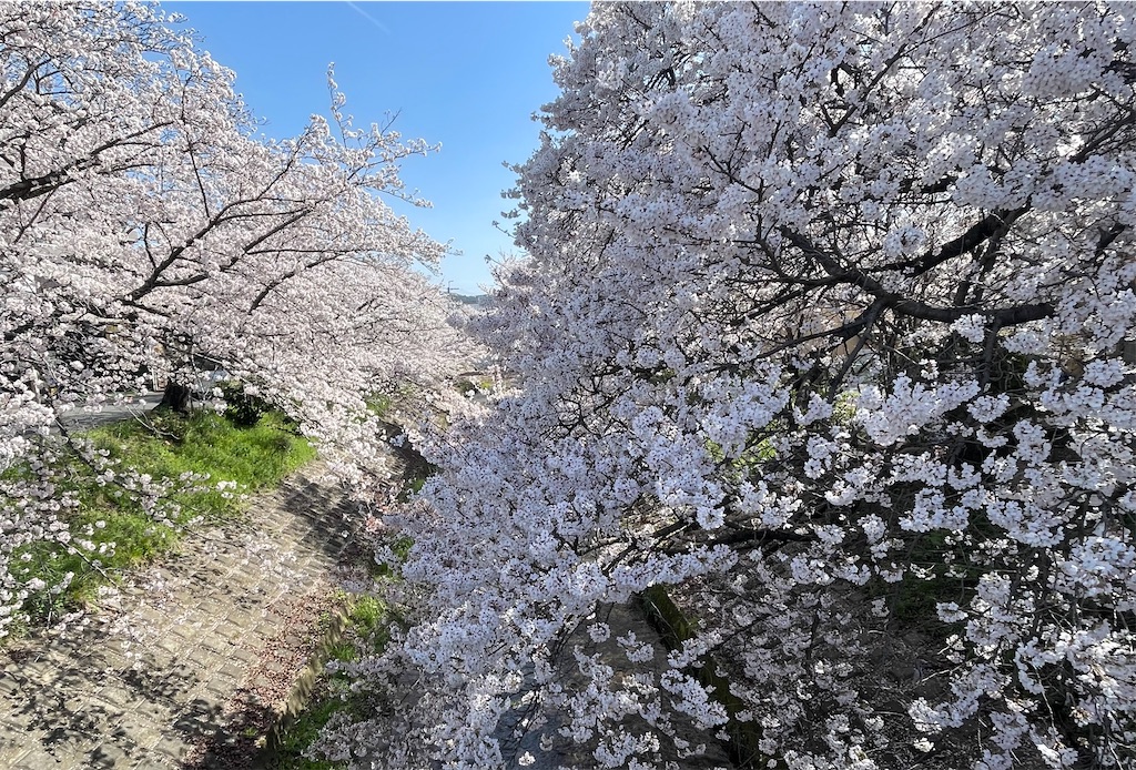 f:id:emi-sk:20230405194028j:image