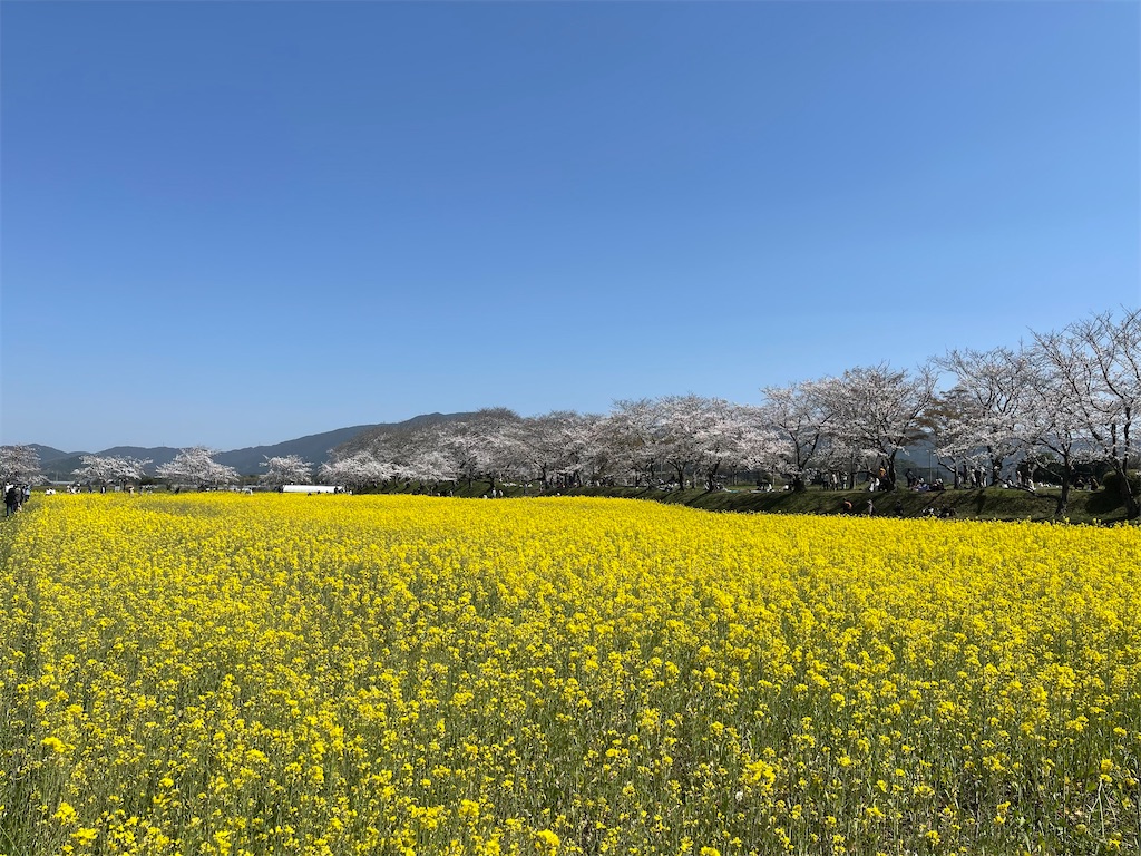 f:id:emi-sk:20230413211928j:image