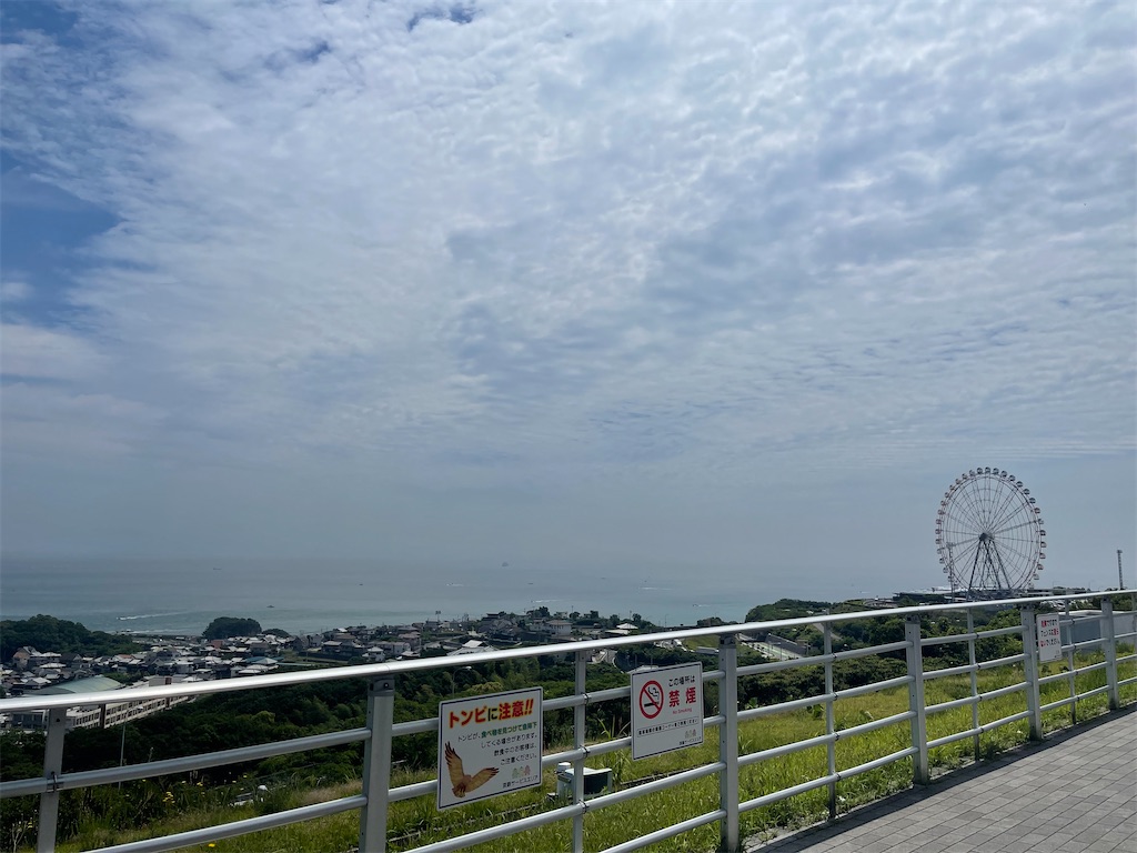 f:id:emi-sk:20230607073733j:image