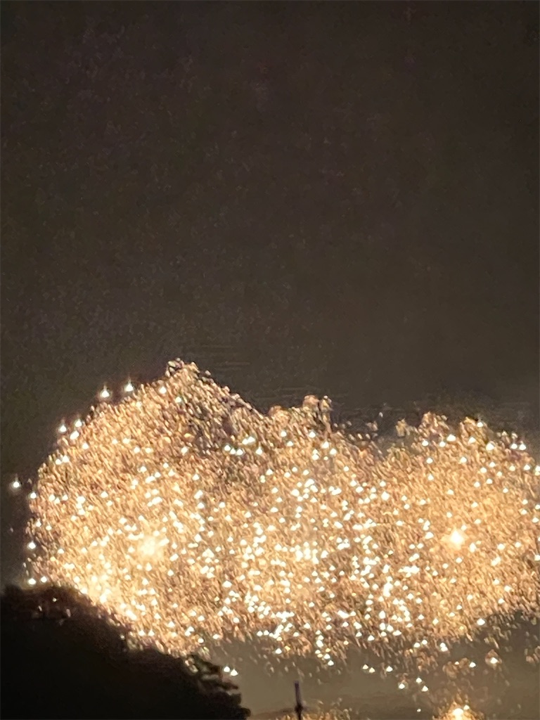 f:id:emi-sk:20231105100713j:image